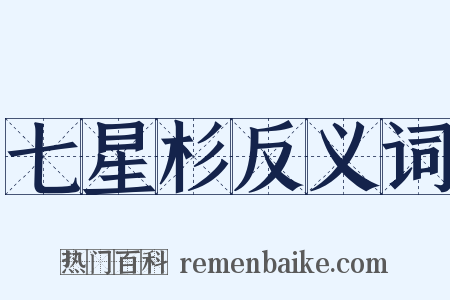 七星杉反义词是什么意思的图片